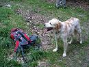 DSC05107.jpg